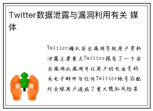 Twitter数据泄露与漏洞利用有关 媒体