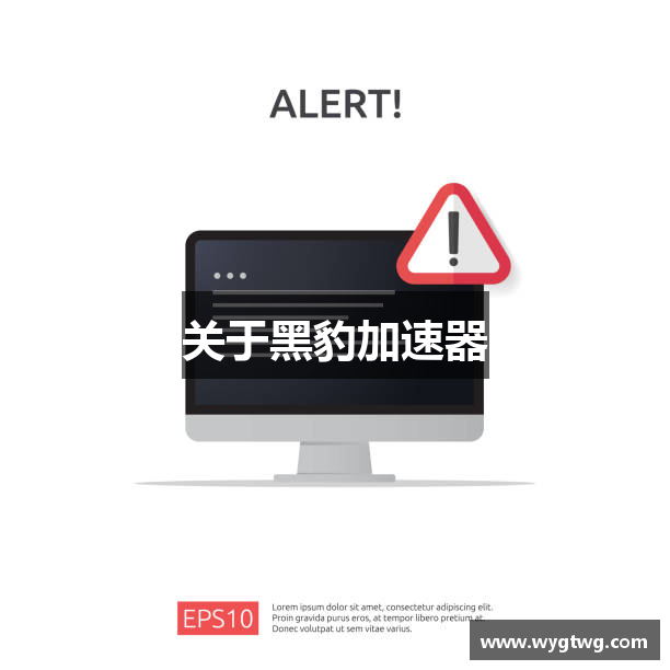 关于黑豹加速器